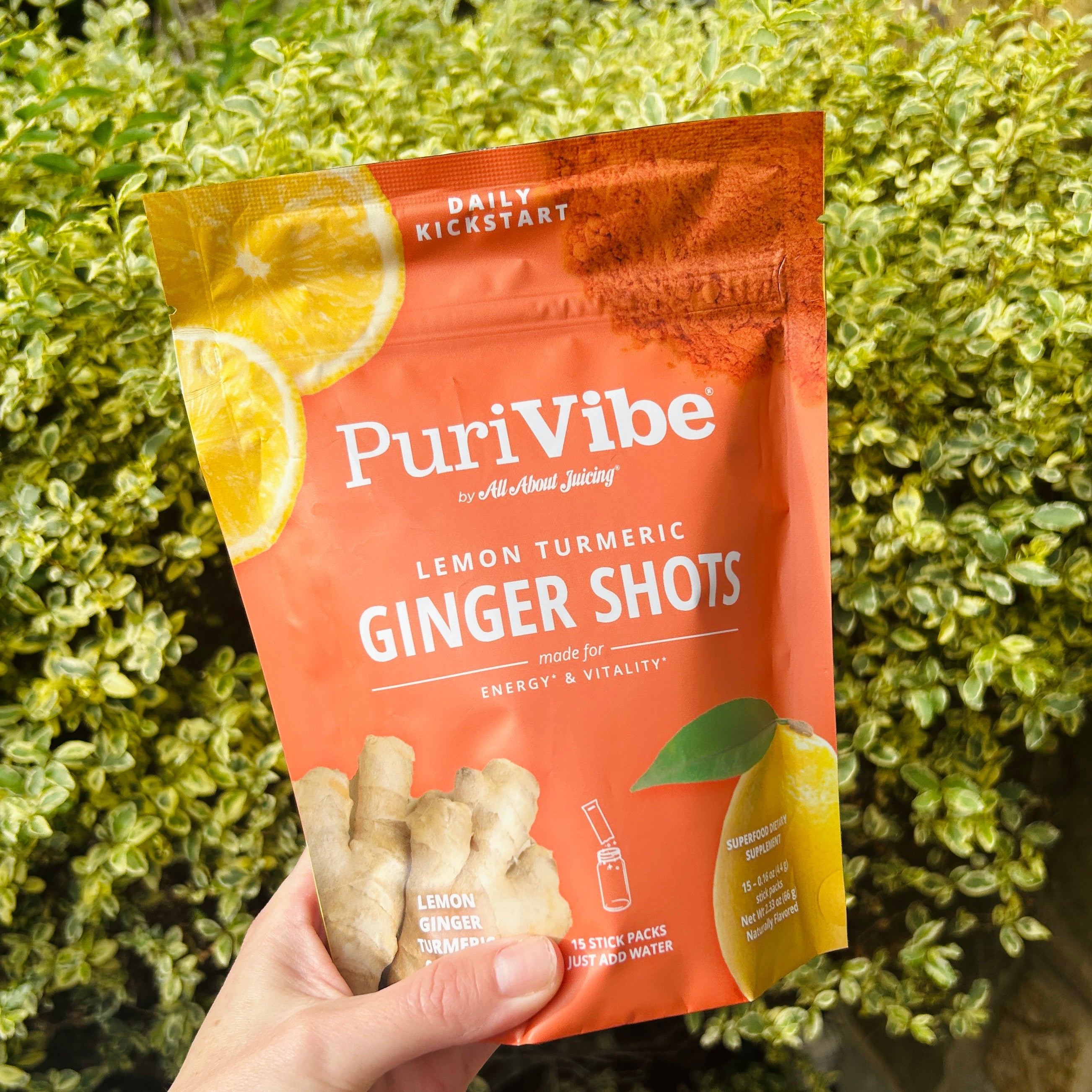 Lemon Turmeric Ginger Shots