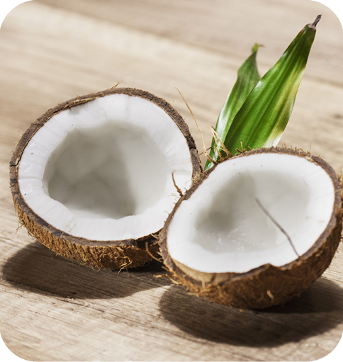 Coconut Water